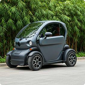 Compact Electric Car